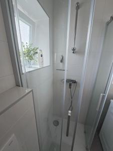 una doccia con porta in vetro in bagno di Apartment Jana a Korčula