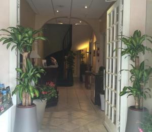 a hallway with potted plants in a building at Hotel de Paris in Le Bugue