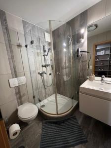 Fotografia z galérie ubytovania Luxury Apartment DunaPest with Spa and Pool v Budapešti