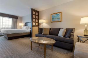 a hotel room with a couch and a bed at Best Western PLUS Vineyard Inn and Suites in Penn Yan