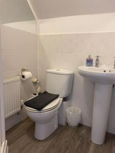 a bathroom with a white toilet and a sink at Braunton Breaks - Ambrose Cottage in Braunton