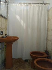 y baño con aseo y cortina de ducha. en Casa céntrica El Rosal (cabaña) en San Rafael