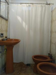 a bathroom with a toilet and a shower curtain at Casa céntrica El Rosal (cabaña) in San Rafael