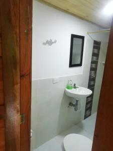 y baño con lavabo y aseo. en Cabañas orquídea, en Norcasia