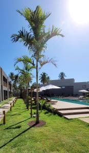 una palmera en el césped junto a una piscina en Apartamento luxo mais completo com 2 suítes Patacho - Milagres - AL, en Porto de Pedras