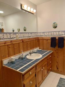 een badkamer met een wastafel en een grote spiegel bij Lands End Lodge River House in Tappahannock