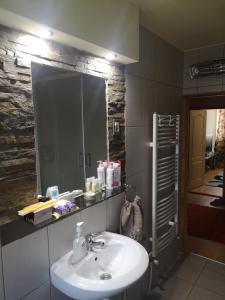 a bathroom with a sink and a mirror at Apartman Stanimirović in Zaječar