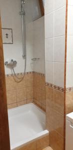 Ein Badezimmer in der Unterkunft Apartment in Jadranovo with sea view, balcony, air conditioning, Wi-Fi (3856-2)