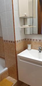 Ein Badezimmer in der Unterkunft Apartment in Jadranovo with sea view, balcony, air conditioning, Wi-Fi (3856-2)