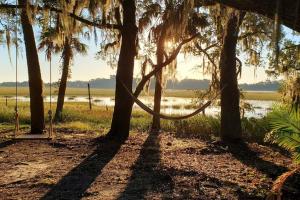 a group of trees with a rope hanging from them at Secluded Tiny House by the Marsh with Hunting Island Beach Pass in St. Helena Island