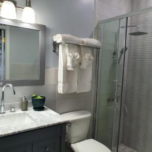 a bathroom with a shower and a toilet and a sink at Ocean Breeze Villa 242 in Nassau