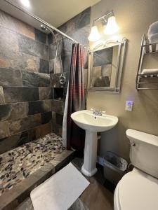 y baño con lavabo, aseo y ducha. en Mt Olympus Cabin, Cozy 1 bedroom cabin Great for couples, en Estes Park