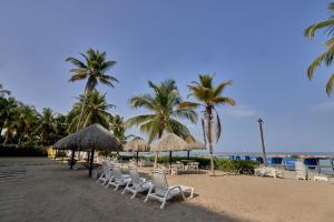 - une plage avec des chaises, des parasols et des palmiers dans l'établissement Magico Apartamento Frente al Mar 3 Habitaciones PAZ224, à Coveñitas