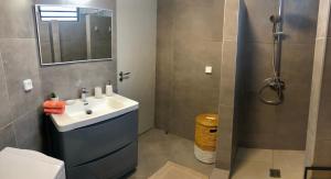 ein Bad mit einem Waschbecken und einer Dusche in der Unterkunft Studio Kooka nui - Private apartment in Papeete