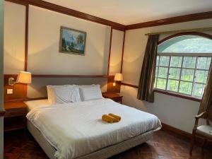 um quarto com uma cama com um urso de peluche em Star Regency Hotel & Apartments em Brinchang