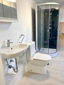 a bathroom with a toilet and a sink and a shower at Nice rooms in Beggen house - In Luxembourg city in Luxembourg