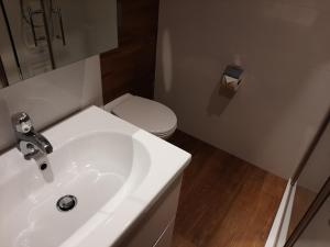 a bathroom with a white sink and a toilet at Apartment Bella in Turracher Hohe