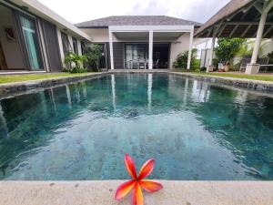 a starfish sitting in the water next to a swimming pool at Villa de Luxe à Grand Baie avec piscine V12 in Grand Baie