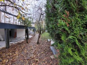 Vonkajšia záhrada v ubytovaní RESIDENCE Miranda