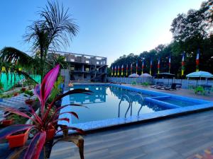 una piscina con una palmera al lado de un edificio en Green Vista Resort, en Chālsa