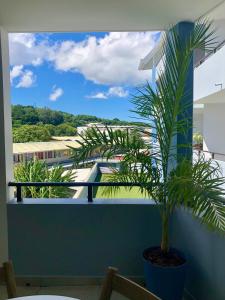 a palm tree in a pot on a balcony with a view at Studio Kooka nui - Private apartment in Papeete