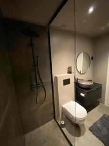 a bathroom with a toilet and a sink and a mirror at Topp Leilighet ski inn ski out Gautefall in Drangedal