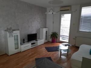 a living room with a couch and a tv at ARS VIP Apartment in Novi Sad