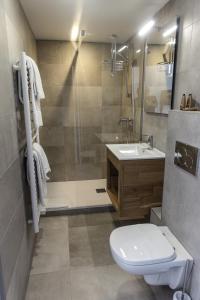 y baño con aseo, lavabo y ducha. en Auberge Les Tilleuls, en Saint-Jorioz
