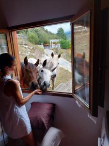 Una mujer mirando por la ventana a un grupo de burros en La Hacienda Del Campo en Potes