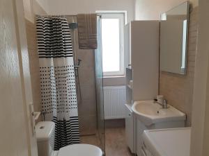 Ένα μπάνιο στο Apartamente la rezidenta noua ideale vacanze job etc +18 φωτογραφίες
