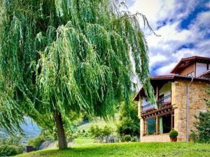 un gran árbol frente a una casa en Posada El Hoyal, en Pesaguero-La Parte