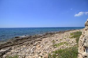 Táj Show holiday homes közelében