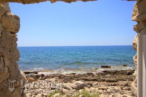 Táj Show holiday homes közelében