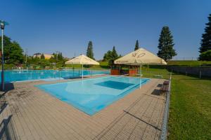 a large swimming pool with umbrellas in a yard at Penzion Bolatice in Bolatice