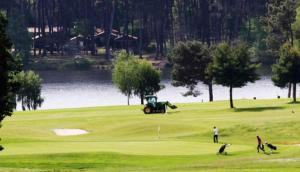 Zaplecze golfowe tego domu wakacyjnego lub w pobliżu