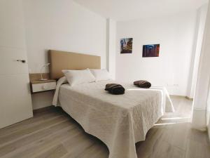 Postel nebo postele na pokoji v ubytování Nerja Sun Apartment Bronce A Centro