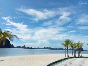 een groep palmbomen op een strand bij Golden Sea HaLong Hotel in Ha Long