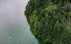 Gallery image of Camping Lac de Villefort in Villefort