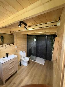 a bathroom with a toilet and a shower and a sink at Vuelos de Montaña l in Montánchez