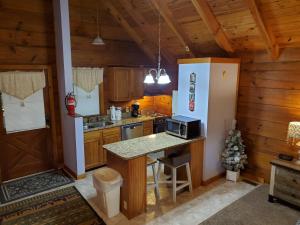 a kitchen with a refrigerator and a counter in a cabin at Foxy Lady #1531 in Gatlinburg