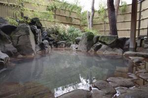 Gallery image of NOZARU ONSEN HOSTEL in Yamanouchi