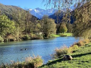 dwie kaczki pływające w rzece na tle gór w obiekcie Beau studio plus, refait à neuf, tout confort, classé 3 étoiles par le comité départemantal du tourisme de la Haute Garonne w mieście Luchon +4 zdjęcia