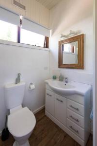 a bathroom with a toilet and a sink and a mirror at Maldon Cosy Garden Cottage - Charming One Room Studio in Maldon