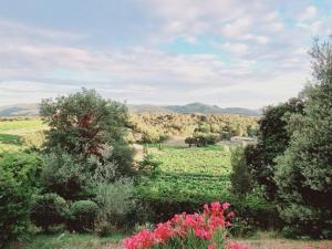 Príroda v okolí of the bed and breakfast