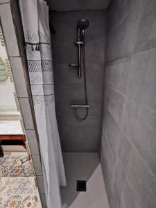 een douche in een badkamer met een douchegordijn bij Maison au calme avec terrasse et jardin in Chinon