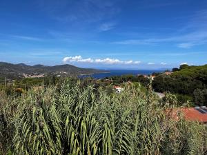 une vue sur l'océan depuis un champ de plantes dans l'établissement Monolocali Le Lecce Pool & Tennis, à Capoliveri