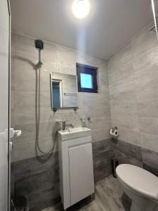 La salle de bains est pourvue d'un lavabo, de toilettes et d'un miroir. dans l'établissement Къща за гости Елит (Guest House Elite), à Sapareva Banya