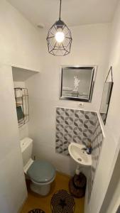 a small bathroom with a toilet and a sink at Joli duplex cocooning de 100m2 avec Rez de jardin in Feyzin