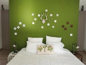 Dormitorio verde con cama y pared verde en Casa Do Guarda Rios, en Ponte Nova