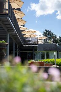 Zahrada ubytování Hotel Vulcano Lindenhof